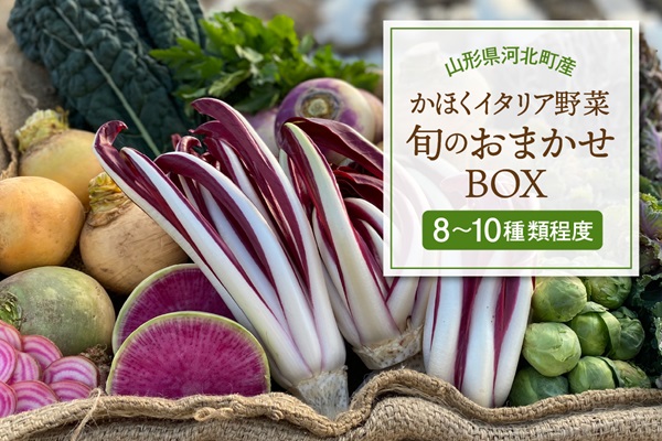 １３かほくイタリア野菜 旬のおまかせBOX（8～10種類程度）