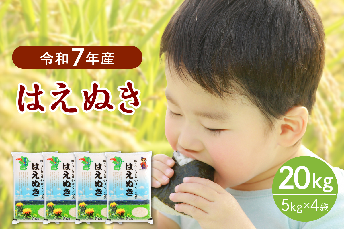 ０４【令和7年産米】2026年4月中旬発送 はえぬき20kg（5kg×4袋） 山形県産 【JAさがえ西村山】