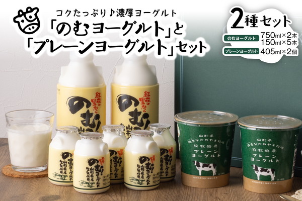 ０３　のむヨーグルトとプレーンヨーグルトセット（750ml×2本、150ml×5本、405g×2個）