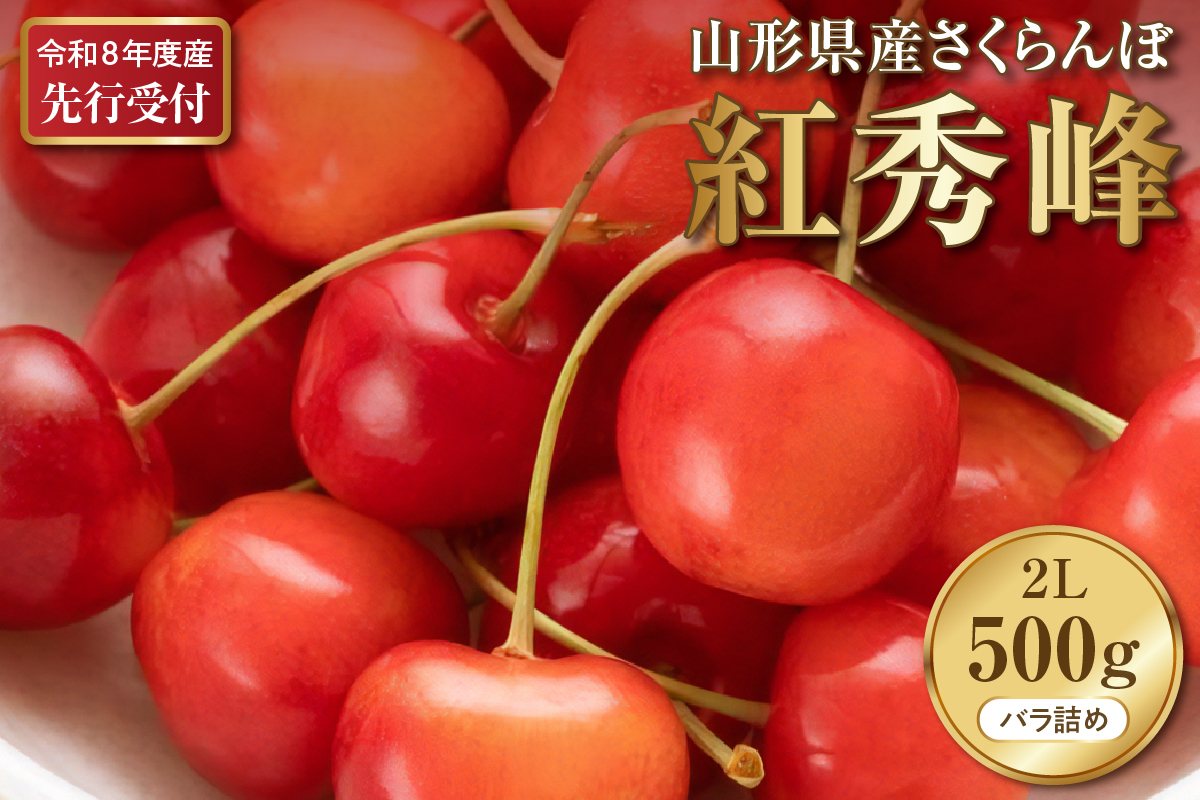 【2026年産先行予約】令和8年産 さくらんぼ紅秀峰 秀以上 2L 500g(500gバラ詰め×1パック)山形県河北町産【晴天畑】 ka073-010