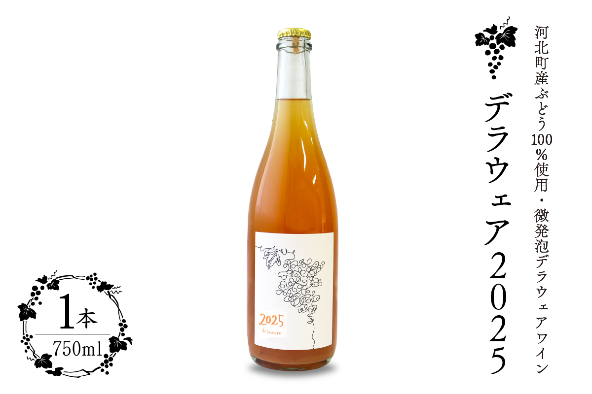 【河北町産ぶどう100％使用・微発泡デラウェアワイン】Delaware 2025（750ml×1本）【かほくらし社】 ワイン デラウェア 贈答 100％  ナチュラルワイン ka019-012j001-2025