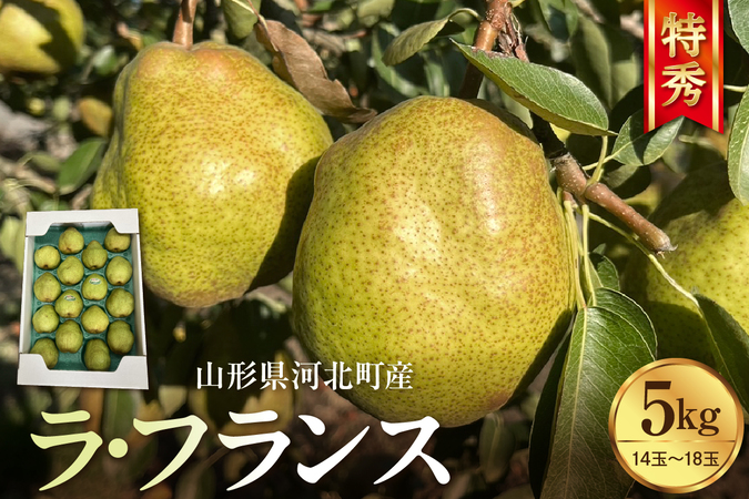 【令和8年産】食べ頃がわかる！ 洋梨「ラ・フランス」 特秀 約5kg (14～18玉) 山形県河北町産 【河北町観光物産協会】　ka002-003-r8