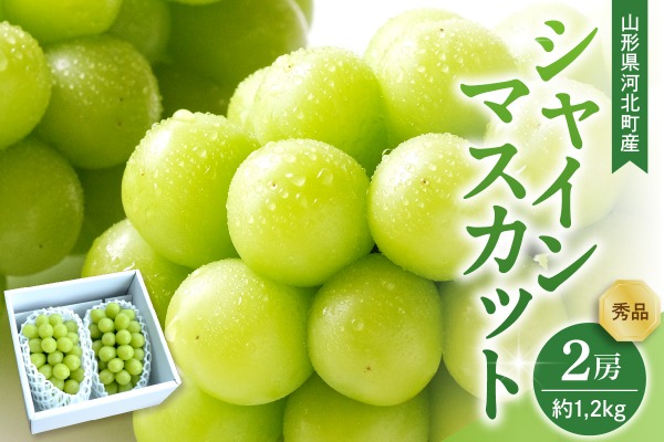 【令和8年産】 ぶどう シャインマスカット  2房入り（1房600g前後） 秀品 山形県河北町産【山形eLab】 ka074-023-r8