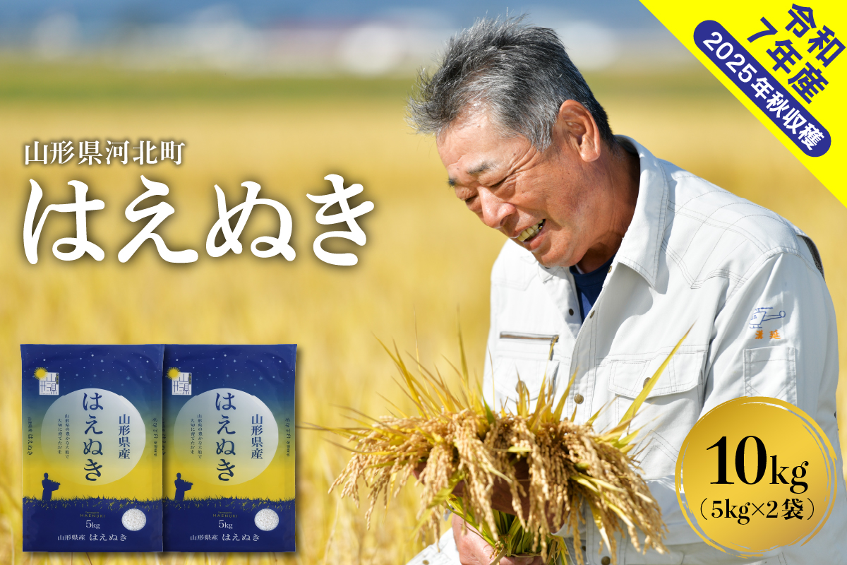 ０２【令和7年産米】2026年6月上旬発送　はえぬき10kg （5kg×2袋）山形県産 【米COMEかほく協同組合】 ka024-045d-r7-061