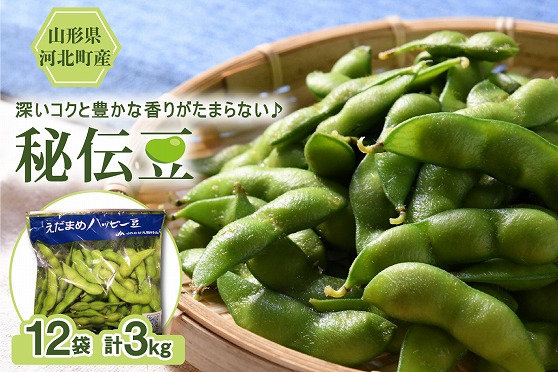【令和8年産】枝豆「秘伝豆」3kg（12袋） 山形県河北町産【JAさがえ西村山】 ka008-019e-r8