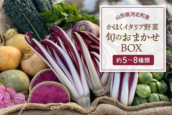０４かほくイタリア野菜 旬のおまかせBOX（約5～8種類）
